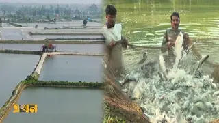 চট্টগ্রামে ৭ হাজার একরের মহুরি মৎস্য প্রকল্প